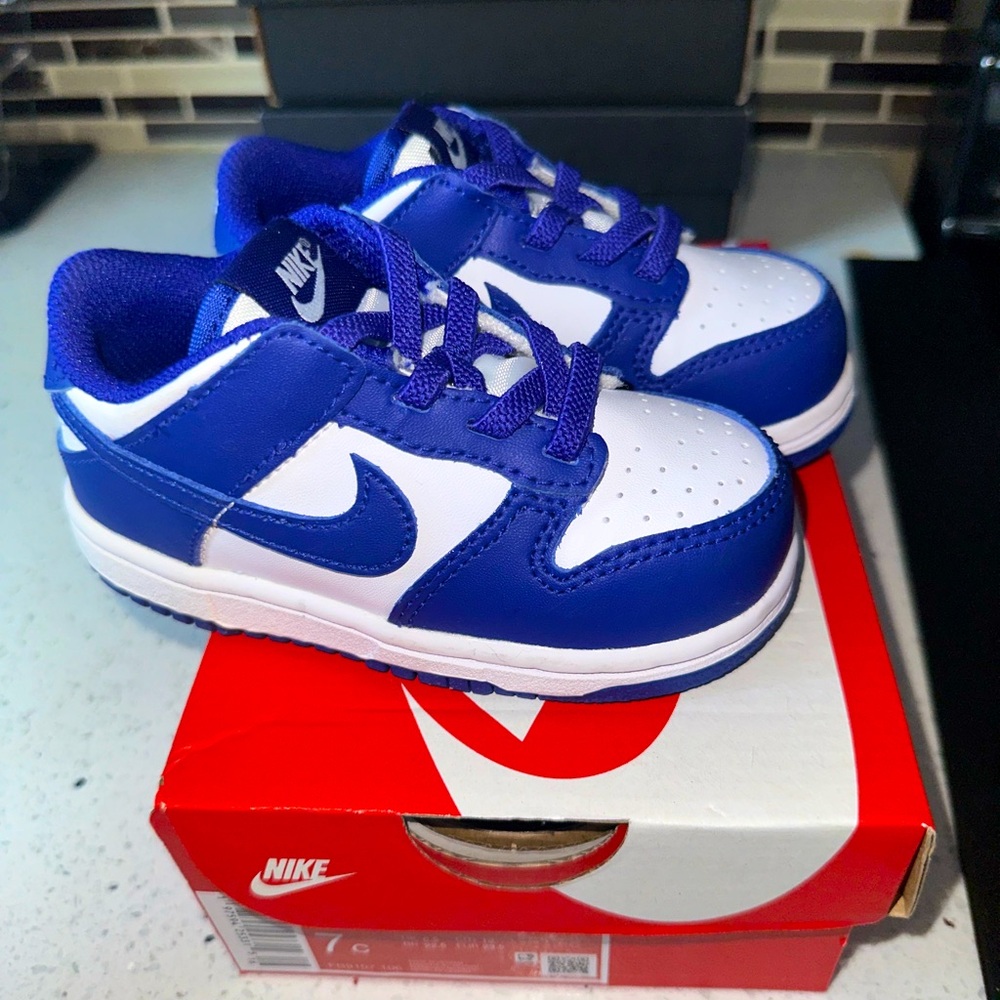 Nike Dunk Toddler Blue & White Size 7C